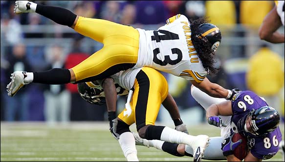 Polamalu_flying.jpg